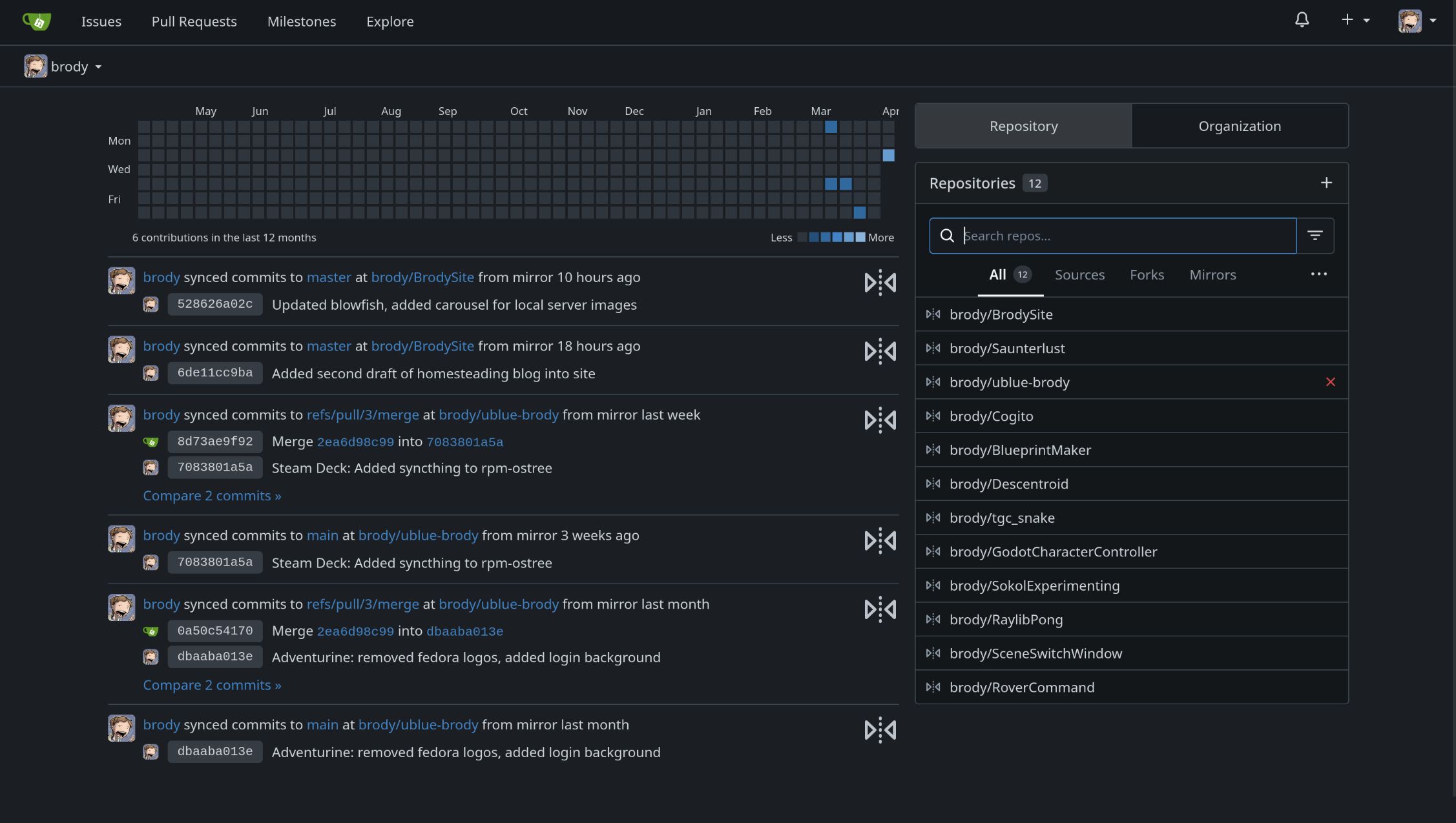 Interface for Gitea, showing a selection of git repositories that it's pulled down from my GitHub account.